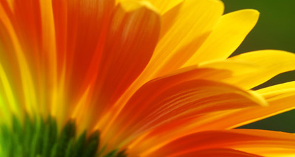 Therapie:<br>Im Mittelpunkt steht der Mensch